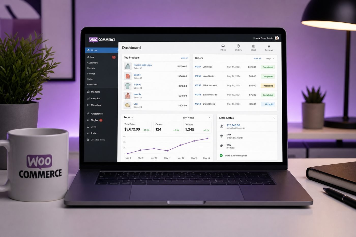 WordPress hosting for WooCommerce online store dashboard overview